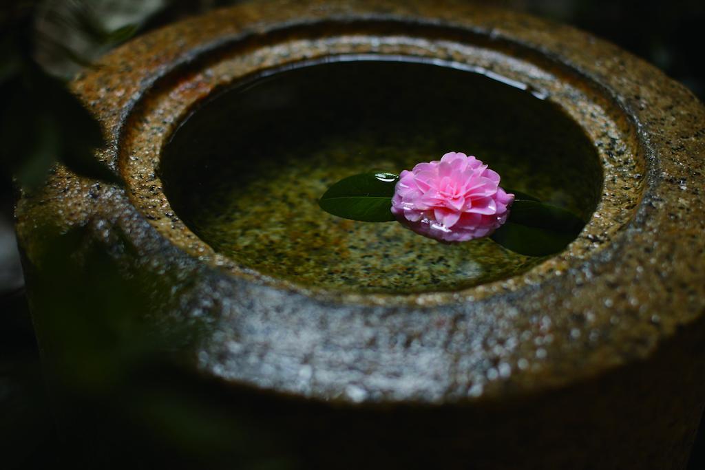 Matsui Honkan Kyoto Exterior photo